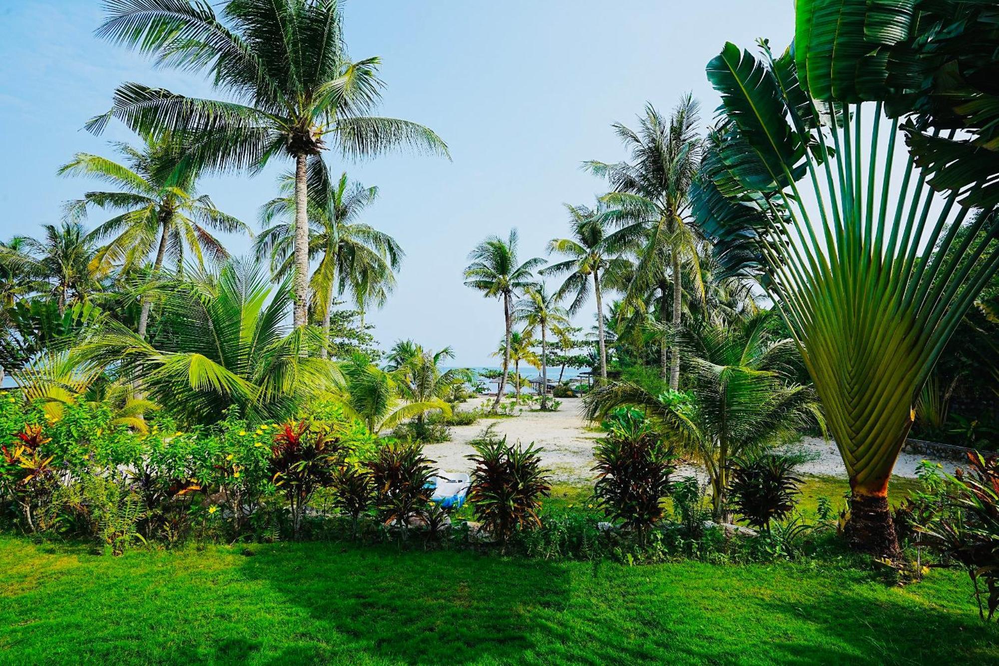 Kiwuki Luxury Villa دونغ دونغ المظهر الخارجي الصورة